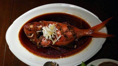 皆既月食リトリート⑧