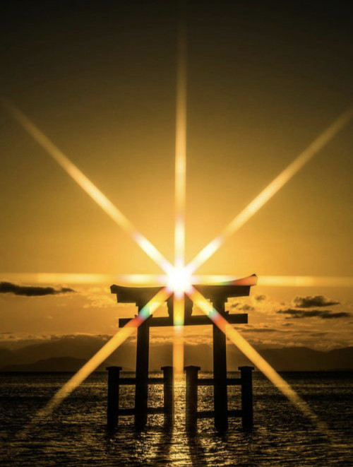 59FD1335-20DD-4196-9FEE-CDE6B6113E32