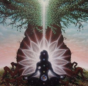 C75C59B1-406F-4ECF-93F0-050656DC46B6