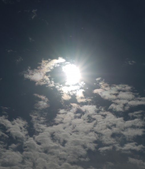 Surya सूर्य(太陽神)