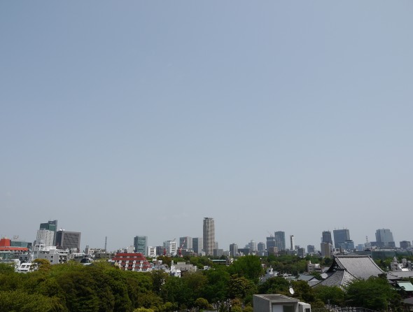 緑に萌える!?南青山 緑に萌える!?南青山