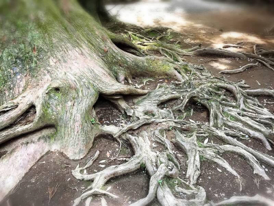 熊本復興リトリート2